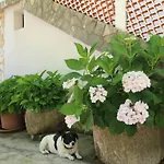 Andjela By Interhome * שילו